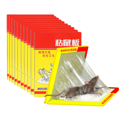 超強力粘鼠板 家用除鼠的神器選擇